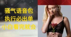 (9589期)执行就出单,日入2000+,超火骚气语音包,小白看完课程就能马上实操-优优云创网