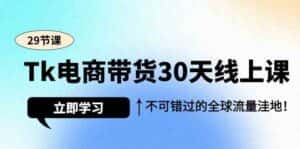Tk电商带货30天线上课，不可错过的全球流量洼地（29节课）-优优云创网