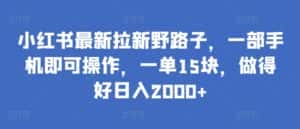 小红书最新拉新野路子,一部手机即可操作,一单15块,做得好日入2000+-优优云创网