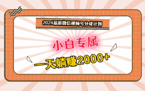 2024最新微信视频号分成计划，对新人友好，一天躺赚2000+-优优云创网