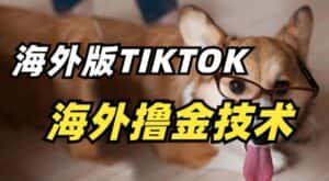 抖音海外版tiktok撸金技术，这个风口行业，赚钱真的不难-优优云创