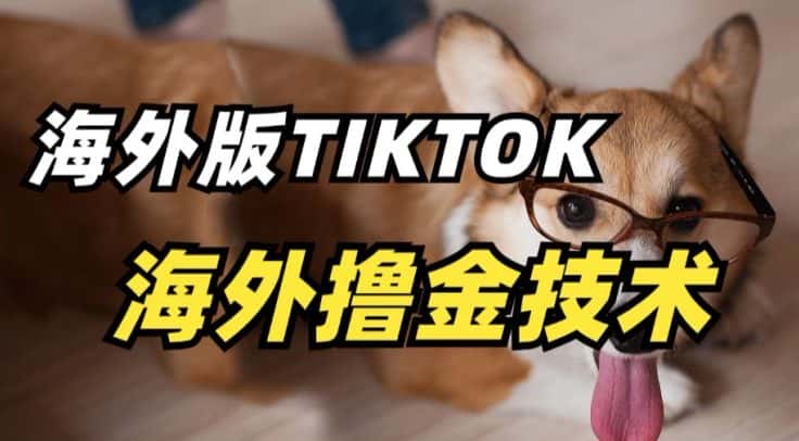 抖音海外版tiktok撸金技术，这个风口行业，赚钱真的不难-优优云创