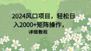 （9652期）2024风口项目，轻松日入2000+矩阵操作，详细教程-优优云创网