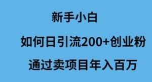 （9668期）新手小白如何日引流200+创业粉通过卖项目年入百万-优优云创网