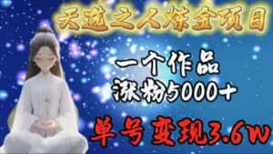 （9693期）天选之人炼金项目，一个作品涨粉5000+，单号变现3.6w-优优云创网