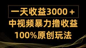 （9696期）中视频暴力撸收益，日入3000＋，100%原创玩法，小白轻松上手多种变现方式-优优云创网