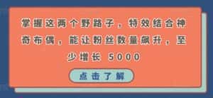 掌握这两个野路子，特效结合神奇布偶，能让粉丝数量飙升，至少增长 5000-优优云创网