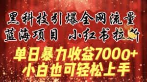 蓝海项目!黑科技引爆全网流量小红书拉新，单日暴力收益7000+，小白也能轻松上手-优优云创