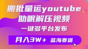 （9727期）批量搬运YouTube解压助眠视频 一键多平台发布 月入2W+-优优云创
