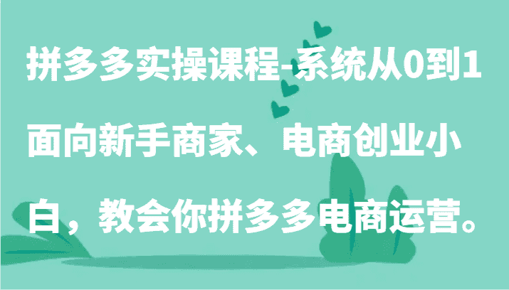 拼多多实操课程-系统从0到1，面向新手商家、电商创业小白，教会你拼多多电商运营。-优优云创网