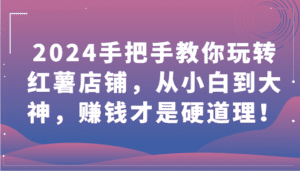 2024手把手教你玩转红薯店铺，从小白到大神，赚钱才是硬道理！-优优云创