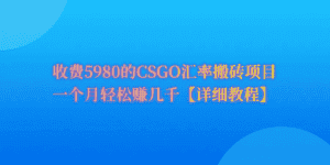（9776期）CSGO装备搬砖，月综合收益率高达60%，你也可以！-优优云创网