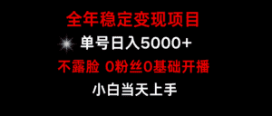 （9798期）小游戏月入15w+，全年稳定变现项目，普通小白如何通过游戏直播改变命运-优优云创网