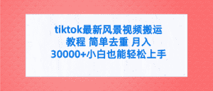 （9804期）tiktok最新风景视频搬运教程 简单去重 月入30000+附全套工具-优优云创网