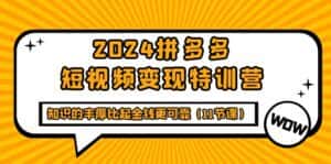 （9817期）2024拼多多短视频变现特训营，知识的丰厚比起金钱更可靠（11节课）-优优云创网