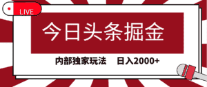 （9832期）今日头条掘金，30秒一篇文章，内部独家玩法，日入2000+-优优云创网