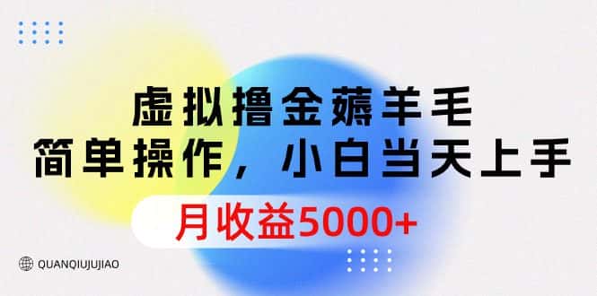 （9864期）虚拟撸金薅羊毛，简单操作，小白当天上手，月收益5000+-优优云创网