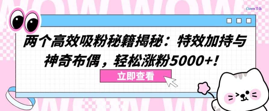 两个高效吸粉秘籍揭秘：特效加持与神奇布偶，轻松涨粉5000+-优优云创