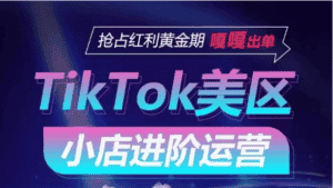 TikTok Shop美区小店进阶运营，快速掌握各流量渠道玩法，抢占红利黄金期，嘎嘎出单-优优云创