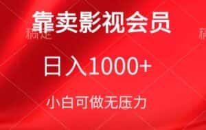 靠卖影视会员，日入1000+，落地保姆级教程，新手可学-优优云创网