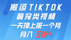 （9931期）一键搬运TIKTOK萌宠类视频 一部手机即可操作 所有平台均可发布 轻松月入5W+-优优云创网