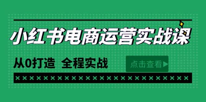 （9946期）最新小红书·电商运营实战课，从0打造  全程实战（65节视频课）-优优云创