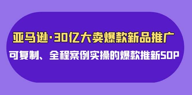 亚马逊30亿大卖爆款新品推广，可复制、全程案例实操的爆款推新SOP-优优云创