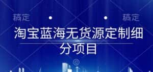 淘宝蓝海无货源定制细分项目，从0到起店实操全流程-优优云创