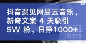 抖音遇见网易云音乐，新奇文案 4 天吸引 5W 粉，日挣1000+-优优云创
