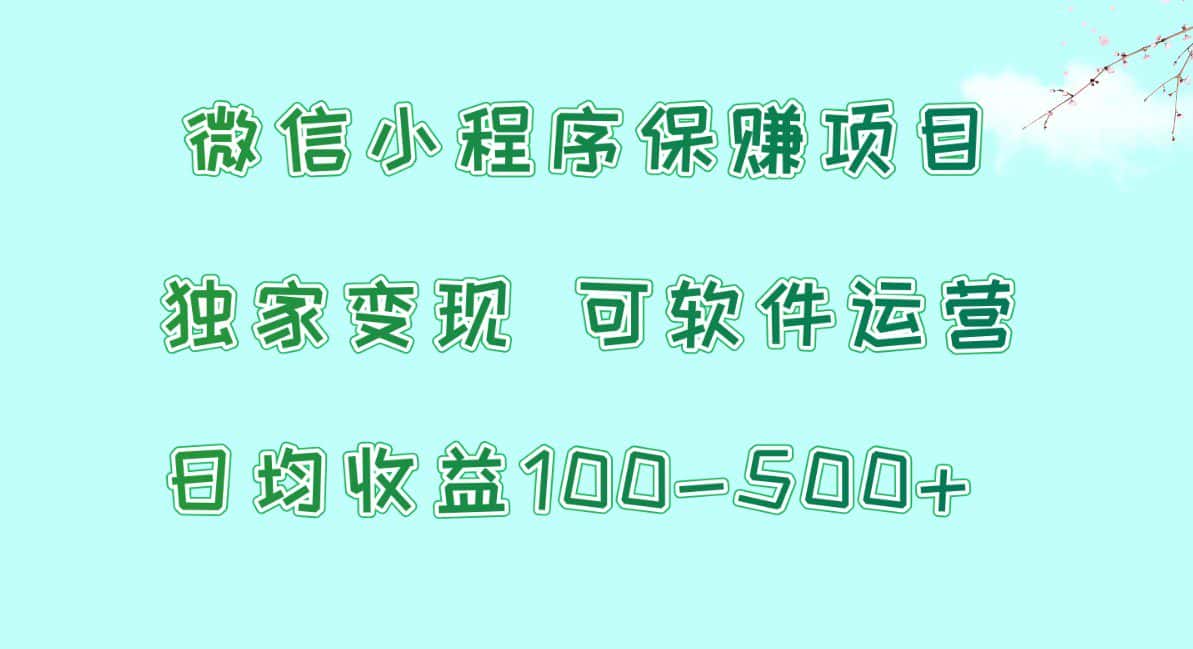 微信小程序保赚项目，日均收益100~500+，独家变现，可软件运营-优优云创网