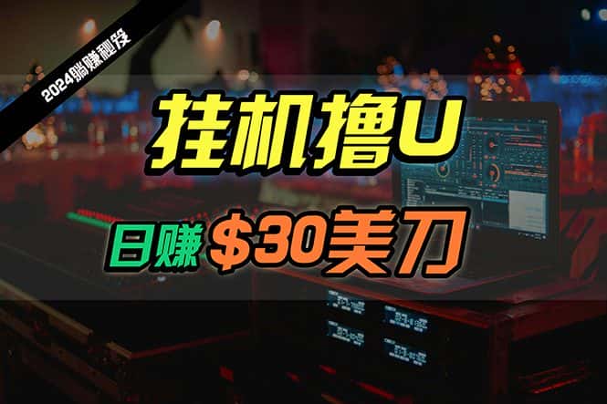 （10013期）日赚30美刀，2024最新海外挂机撸U内部项目，全程无人值守，可批量放大-优优云创网