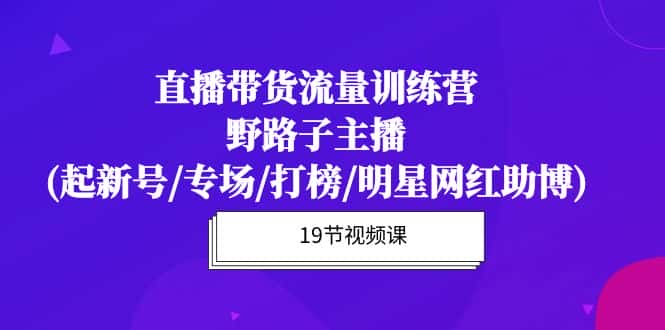 （10016期）直播带货流量特训营，野路子主播(起新号/专场/打榜/明星网红助博)19节课-优优云创网