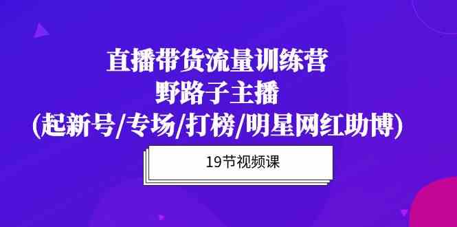 直播带货流量特训营，野路子主播(起新号/专场/打榜/明星网红助博)-优优云创网
