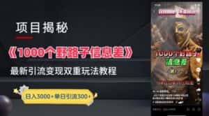 一千个野路子信息差最新玩法教程-变现+引流的玩法具体拆解-优优云创网