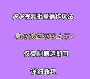 （10029期）拼多多视频带货快速过爆款选品教程 每天轻轻松松赚取三位数佣金 小白必…-优优云创网