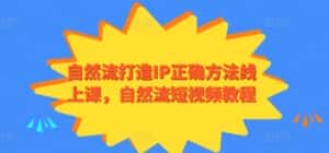 自然流打造IP正确方法线上课，自然流短视频教程-优优云创网