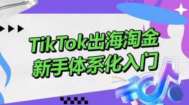 TikTok出海淘金，新手体系化入门，零基础快速入门，掌握短视频、直播带货等引流到变现的知识-优优云创网