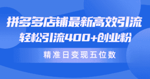 （10041期）拼多多店铺最新高效引流术，轻松引流400+创业粉，精准日变现五位数！-优优云创