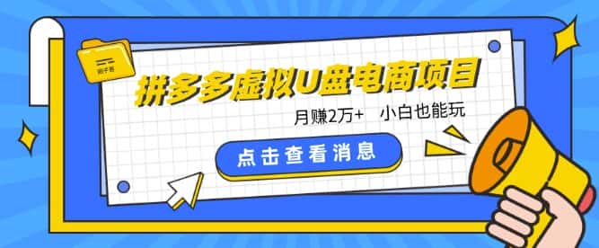 拼多多虚拟U盘电商红利项目：月赚2万+，新手小白也能玩-优优云创网