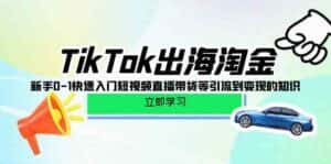 TikTok出海淘金，新手0-1快速入门短视频直播带货等引流到变现的知识-副业吧