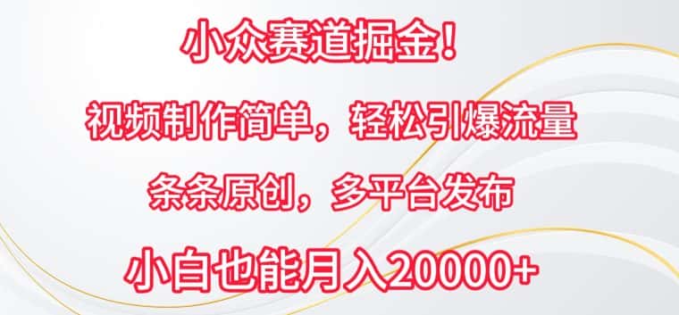 小众赛道掘金，视频制作简单，轻松引爆流量，条条原创，多平台发布-优优云创网