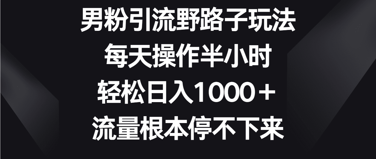 男粉引流野路子玩法，每天操作半小时轻松日入1000＋，流量根本停不下来-优优云创网