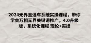 2024无界直通车系统实操课程,带你学会万相无界关键词推广,4.0升级版,系统化课程 理论+实操-副业吧