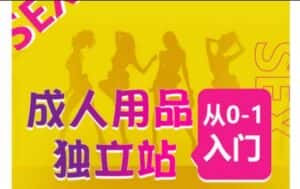成人用品独立站从0-1入门，成品独立站运营全流程教学，七大好卖成品独立站推荐-优优云创网