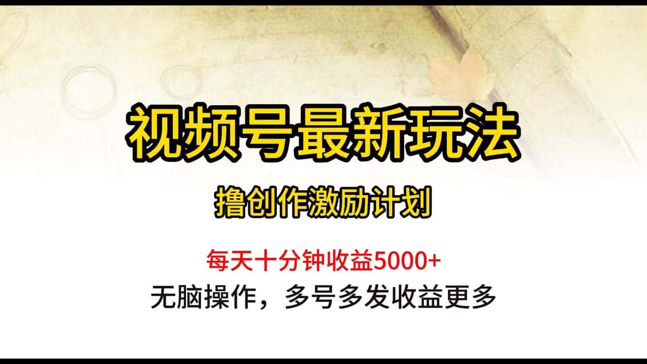 （10087期）视频号最新玩法，每日一小时月入5000+-优优云创网