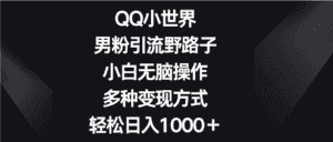 QQ小世界男粉引流野路子，小白无脑操作，多种变现方式轻松日入1000＋-优优云创