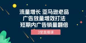 （10112期）流量增长 亚马逊老品广告放量增效打法，短期内广告销量翻倍（3堂直播课）-优优云创