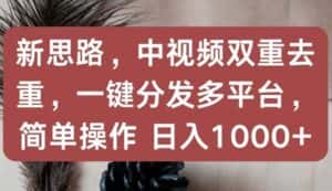 新思路，中视频双重去重，一键分发多平台，简单操作，日入1000+-优优云创网