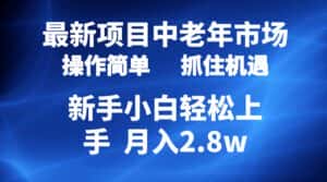(10147期) 2024最新项目,中老年市场,起号简单,7条作品涨粉4000+,单月变现2.8w-优优云创网