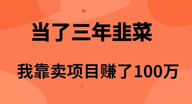 （10149期）当了3年韭菜，我靠卖项目赚了100万-优优云创网